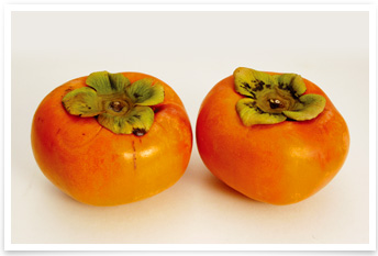 本巣の特産品「富有柿」の写真